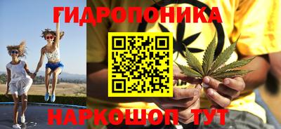 Альфа ПВП Будённовск