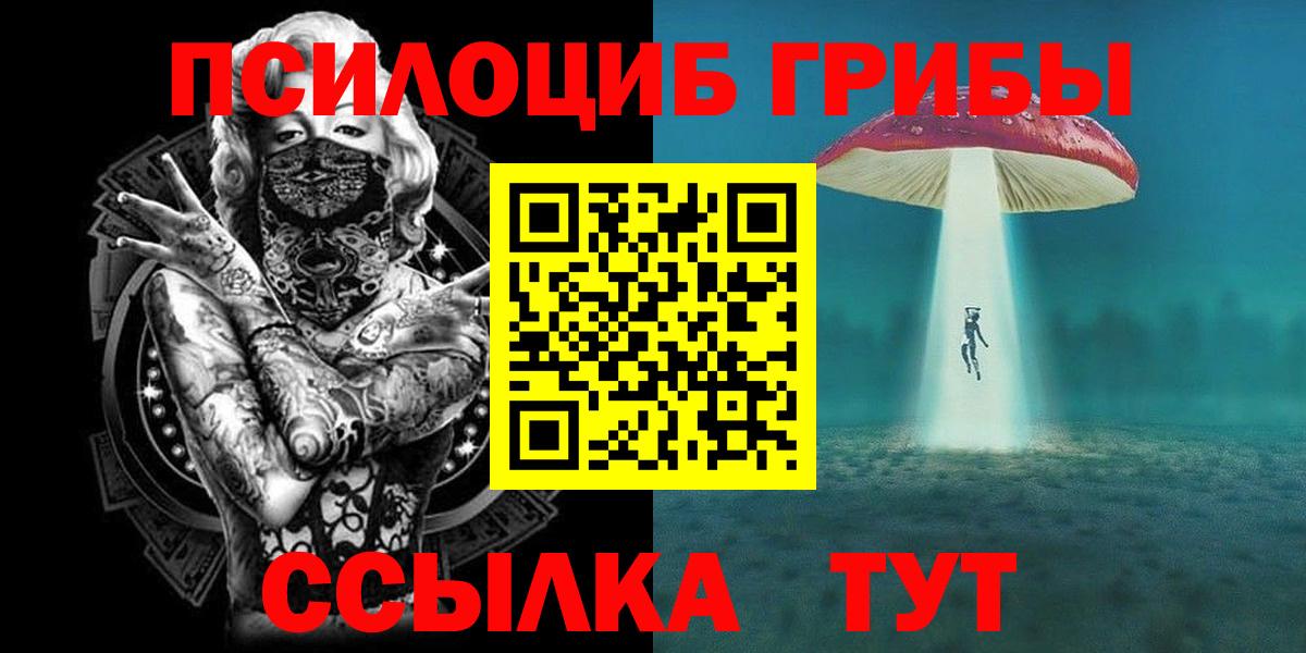Малоярославец  Псилоцибиновые грибы мицелий  Вход с VPN 