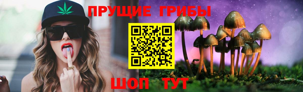 Псилоцибиновые грибы Magic Shrooms Малоярославец